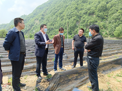 1652060286126308.png 全网担保网_image7379