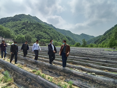 1652060289927764.png 全网担保网_image3515