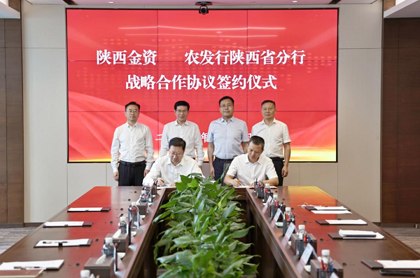 全网担保网_image4387