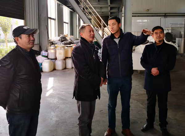 1577753396640669.png 全网担保网_活动5600