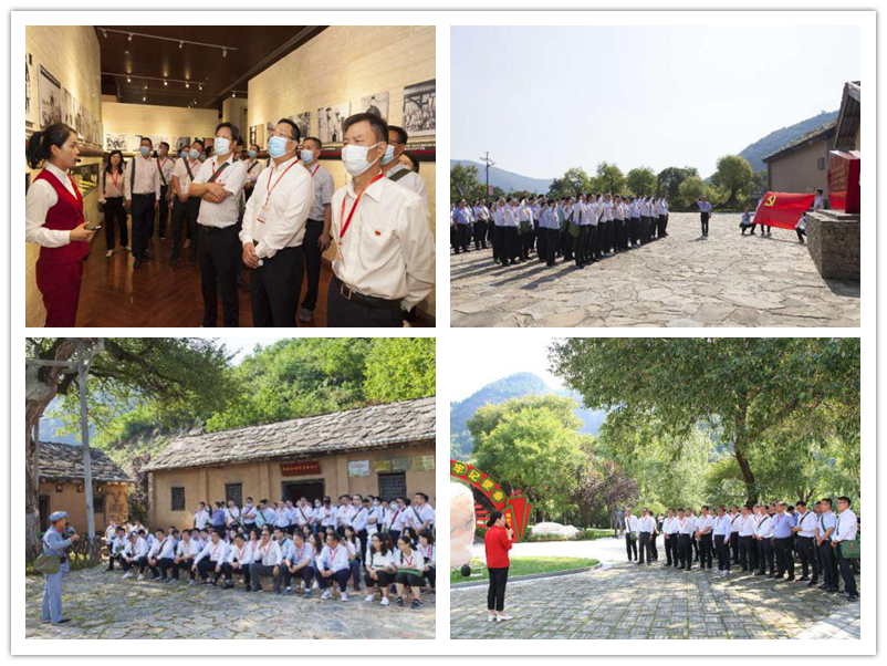 1598698364975763.png 全网担保网_公司9117